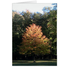 Cartão Autumn Leaves ( Modelo)