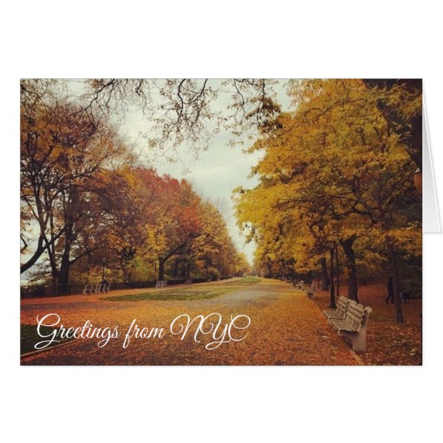 Cartão Autumn Leaves Riverside Park Nova Iorque NYC (Frente horizontal)