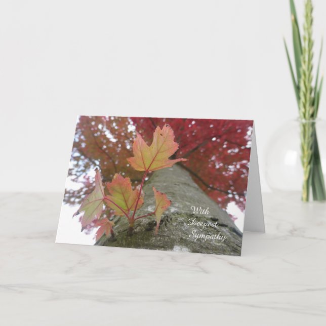 Cartão Autumn Leaves Sympathy Card (Frente)