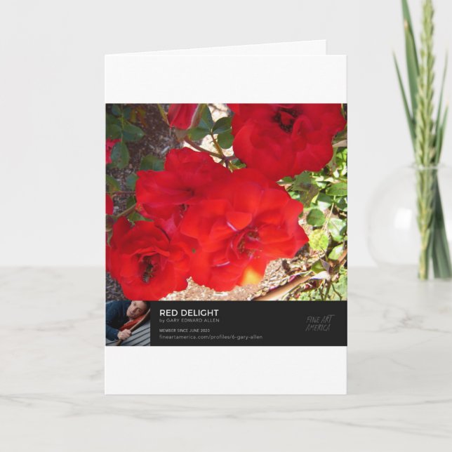 Cartão Autumn Mist (Frente)