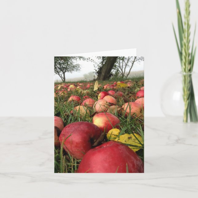 Cartão Autumn Morning in the Apple Orchard Note Card (Frente)