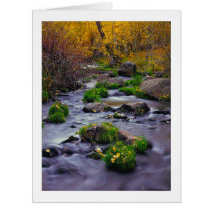 Cartão "Autumn On Mill Creek"