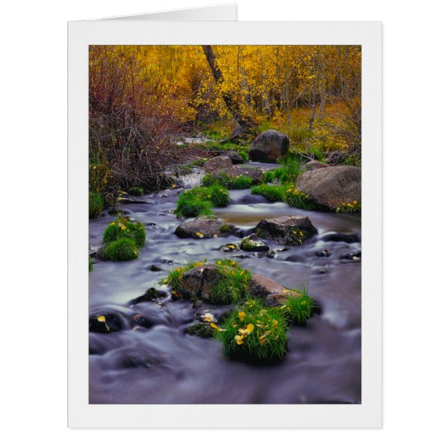 Cartão "Autumn On Mill Creek" (Frente)
