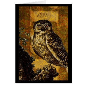 Cartão Autumn Owl