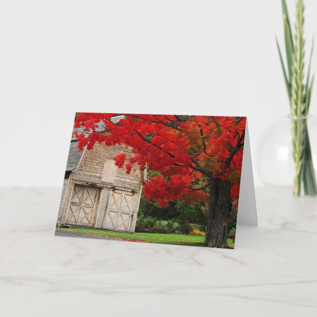 Cartão Autumn Red (Frente)
