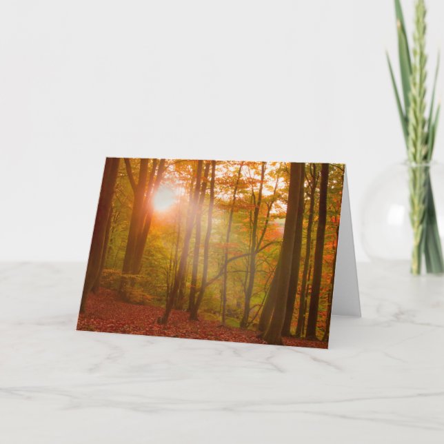 Cartão Autumn Splendor (Frente)