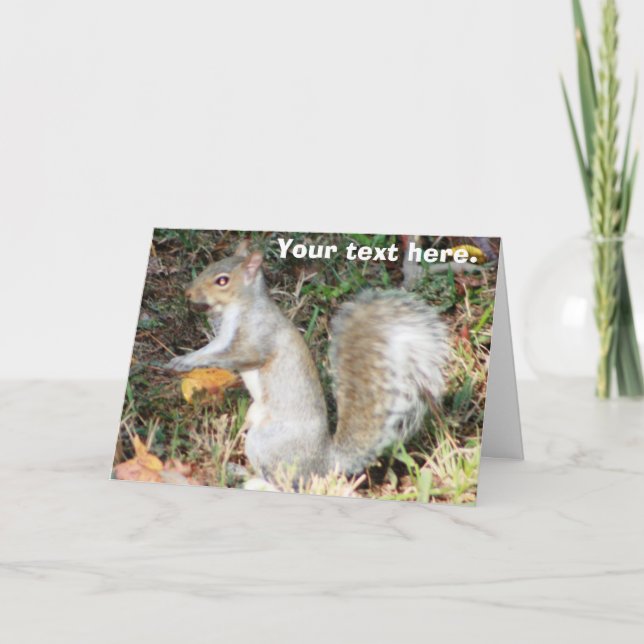 Cartão Autumn Squirrel Template (Frente)