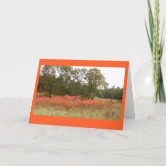Cartão Autumn Sumac II Blank Notecard