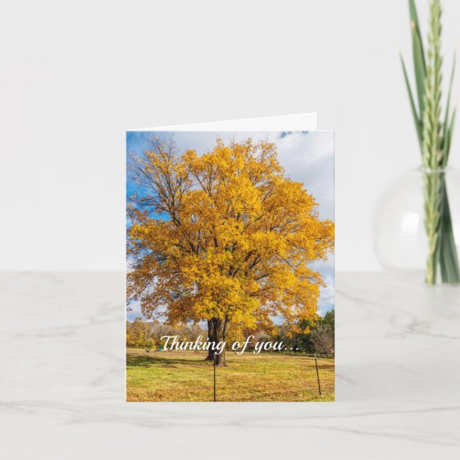 Cartão Autumn Yellow Sugar Maping Thinking Of You Card (Frente)