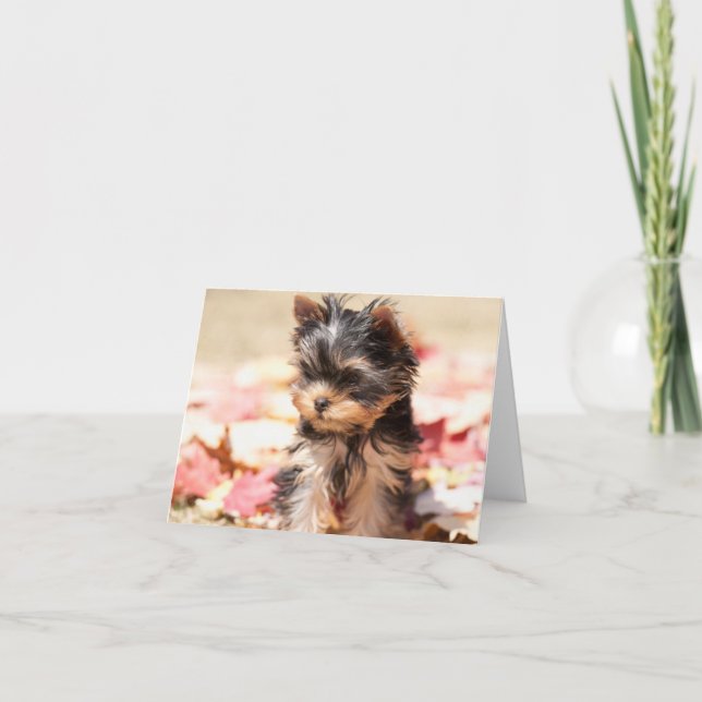 Cartão Autumn Yorkie Puppy Note Card (Frente)