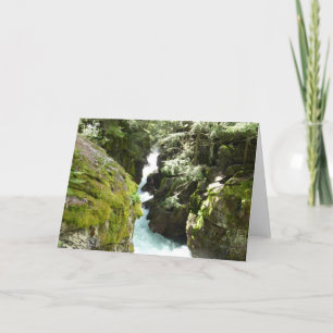 Cartão Avalanche Gorge II no Parque Nacional Glacier