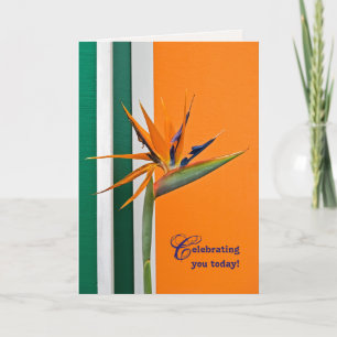 Cartão Ave do Paraíso