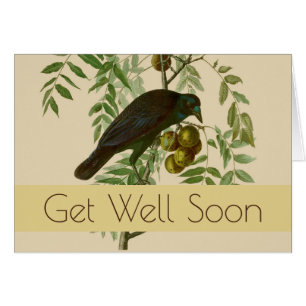 Cartão Ave Negra Americana da Audubon