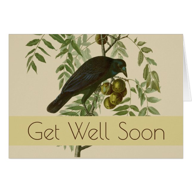 Cartão Ave Negra Americana da Audubon (Frente Horizontal)