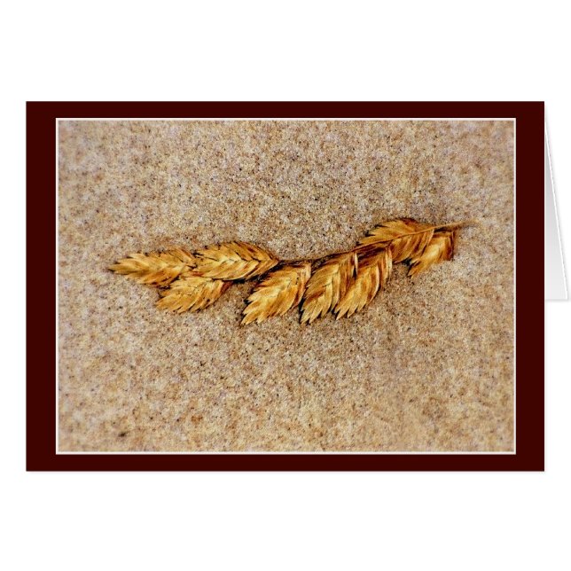 Cartão Aveia E Areia Do Mar (Frente Horizontal)