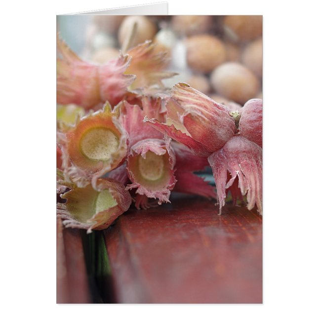 Cartão Avelãs.JPG (Frente)