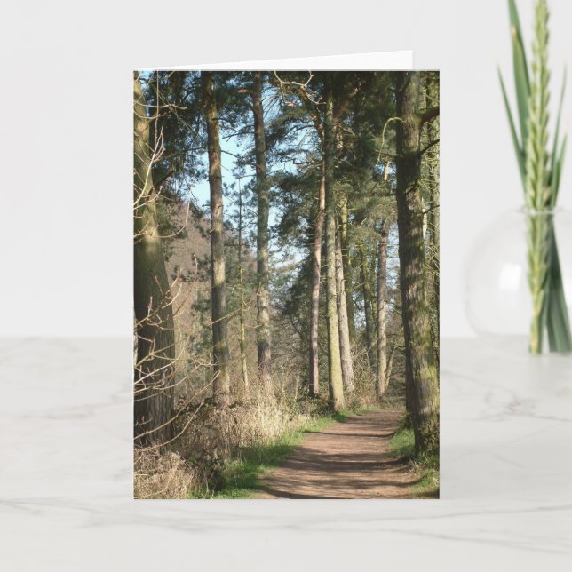 Cartão avenida de árvore (Frente)