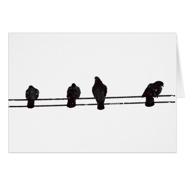 Cartão Aves (Frente Horizontal)