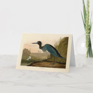 Cartão Aves da América de Crane Azul de Audubon