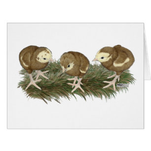 Cartão Aves de capoeira de chocolate