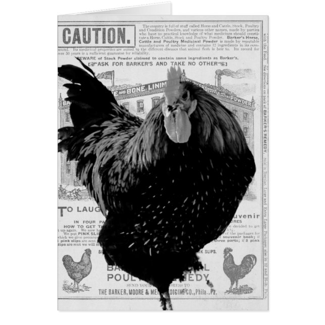 Cartão Aves de capoeira especiais de padeiro (Frente)