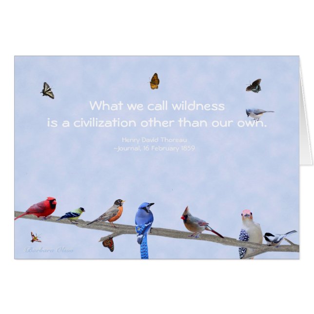 Cartão Aves e Borboletas-Civilização que não a nossa (Frente Horizontal)