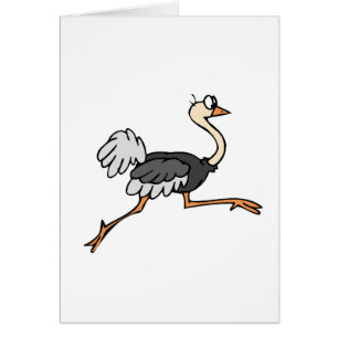 Cartão Avestruz de Ollie
