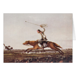 Cartão Avestruzes de Balling