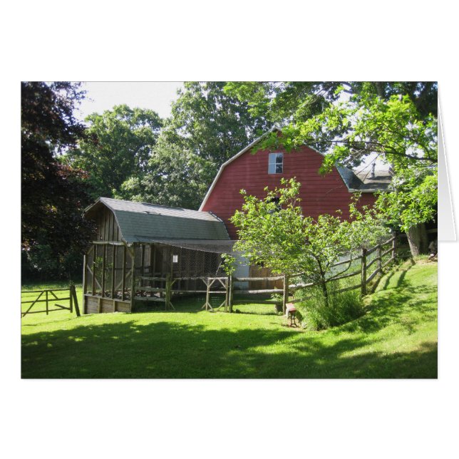 Cartão Aviário (Frente horizontal)