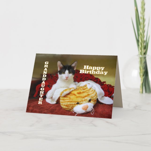 Cartão Avó Feliz Aniversário Kitten com Toy Tiger (Frente)