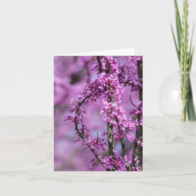 Cartão Avondale Redbud Art (Frente)