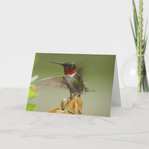 Cartão Awesome Hummingbird
