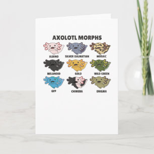 Cartão Axolotls Do Axolotl Para Animais Doces Do Mundo