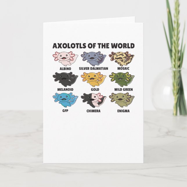 Cartão Axolotls Do Axolotl Para Animais Doces Do Mundo (Frente)