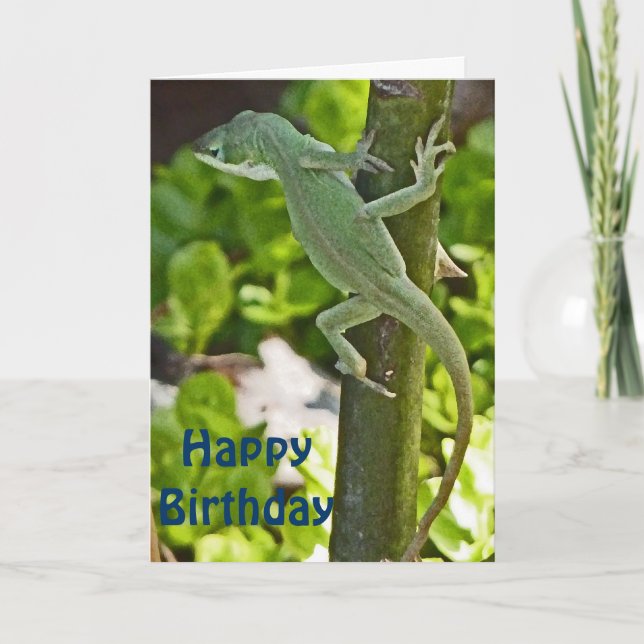 Cartão AZ- Chameleon Lizard Birthday Card (Frente)