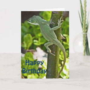 Cartão AZ- Chameleon Lizard Birthday Card