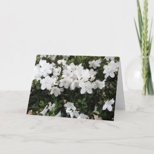 Cartão Azalea Floral Branco