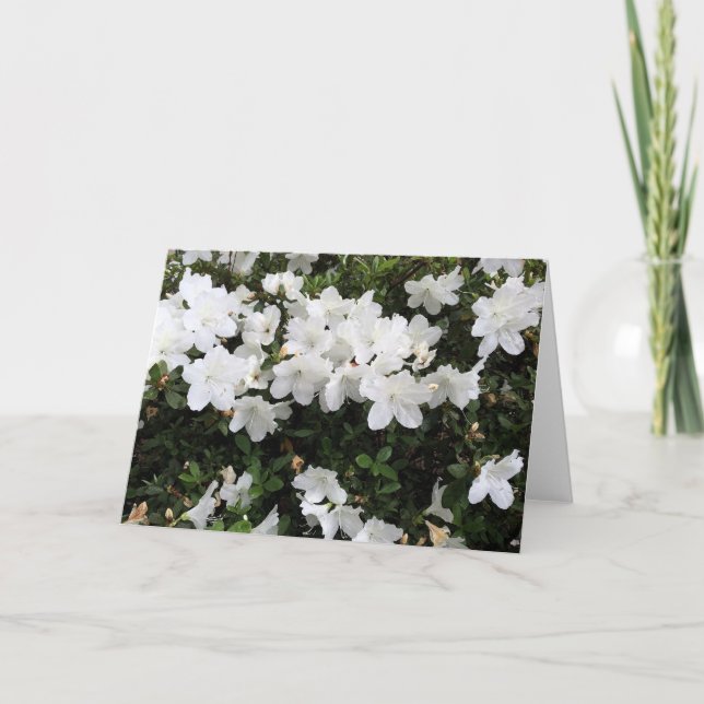 Cartão Azalea Floral Branco (Frente)