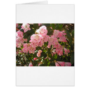 Cartão Azalea Flowera rosa