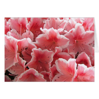 Cartão Azalea nº 1