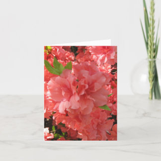 Cartão Azalea Notecard