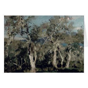 Cartão Azeitona, Corfu, 1912