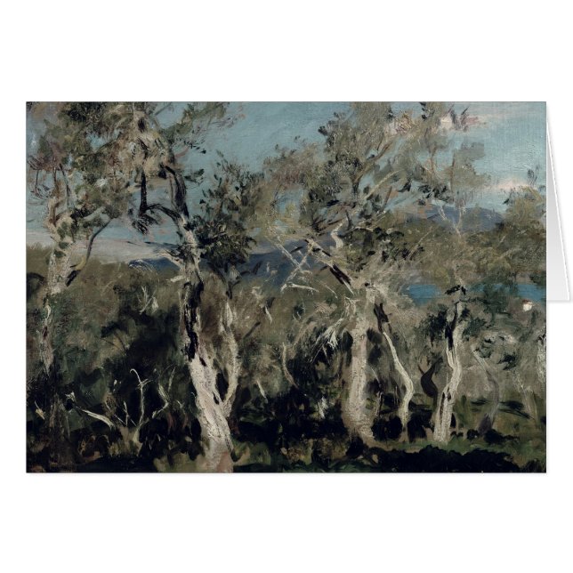 Cartão Azeitona, Corfu, 1912 (Frente Horizontal)