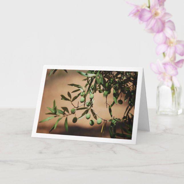Cartão Azeitonas verdes penduradas na oliveira (Orquídea)