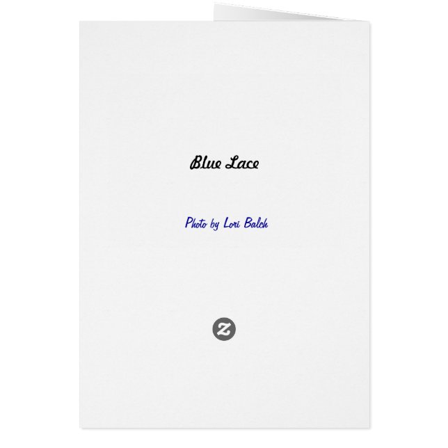 Cartão Azul (Verso)