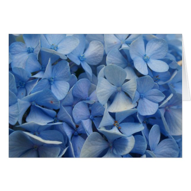 Cartão Azul Carolina (Frente Horizontal)