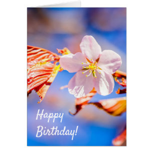 Cartão Azul-céu cor-de-rosa Sakura