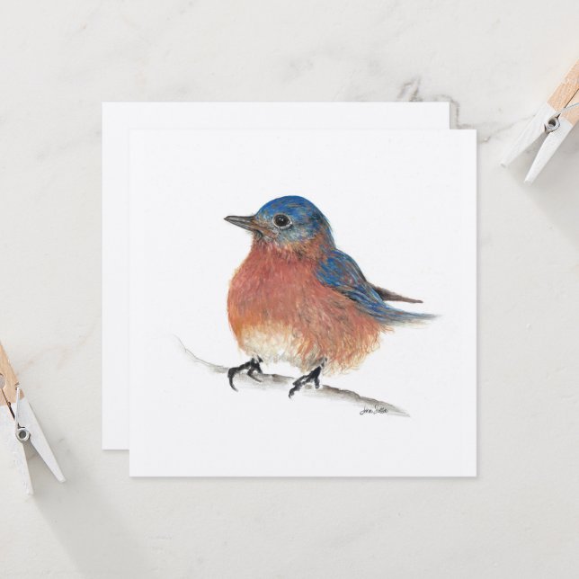 Cartão Azul de Pássaro (Frente/Verso In Situ)