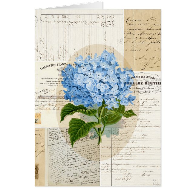 Cartão azul do francês do Hydrangea do vintage (Frente)