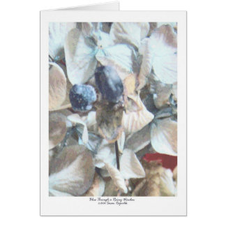 Cartão Azul embora uma janela chuvosa